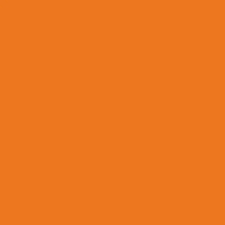 Coupon enduit 50x80cm Uni orange