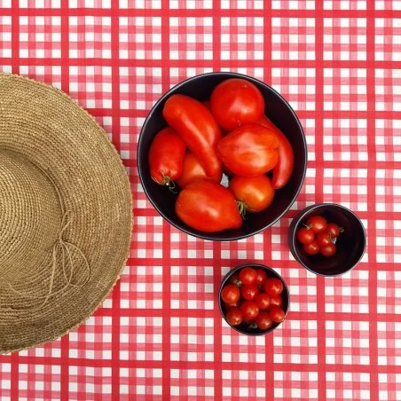 Set de table Vichy rouge