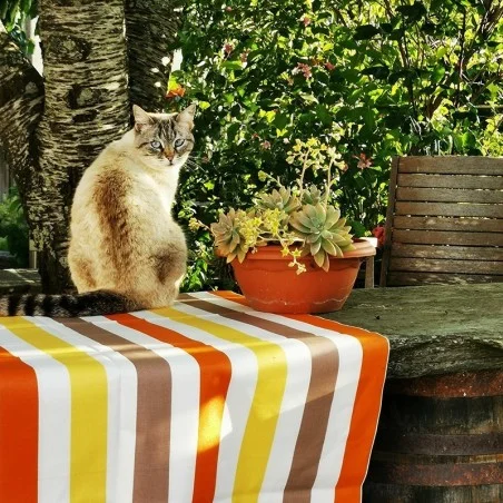 Wipe clean tablecloth multicolored Stripes