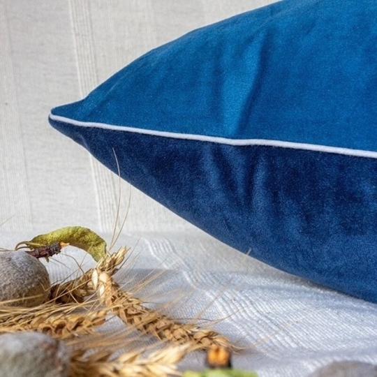 Coussin velours bleu