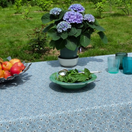 nappe enduite anémone bleue