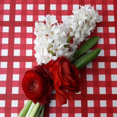 Wipe clean tablecloth Guinguette Red